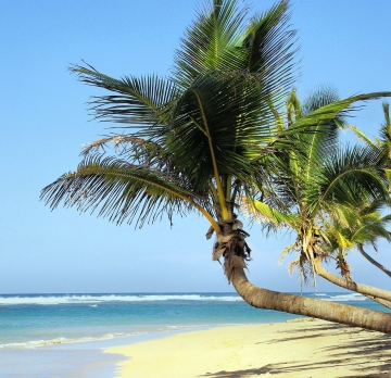 Agosto Cubano - 17 Agosto da Roma 